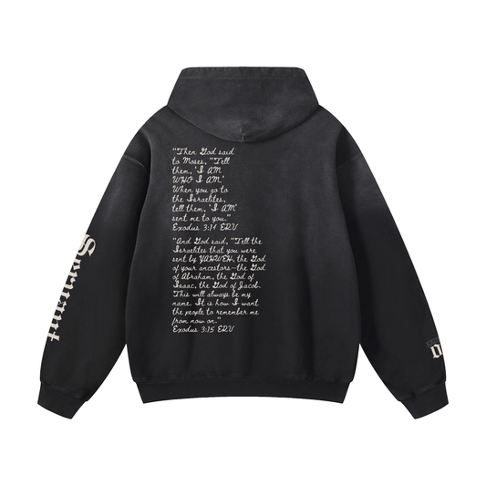 Ex III: Servant Sunfade Oversized Hoodie