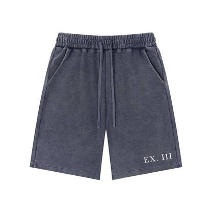 EX. III Snow Washed Shorts
