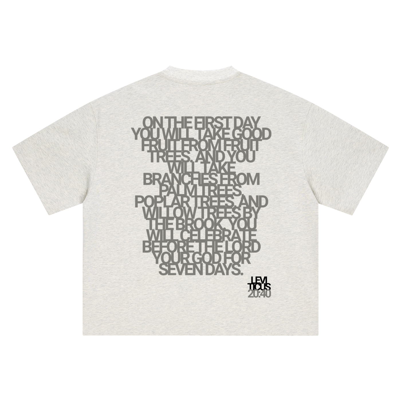 Boxy Oversized T-Shirt