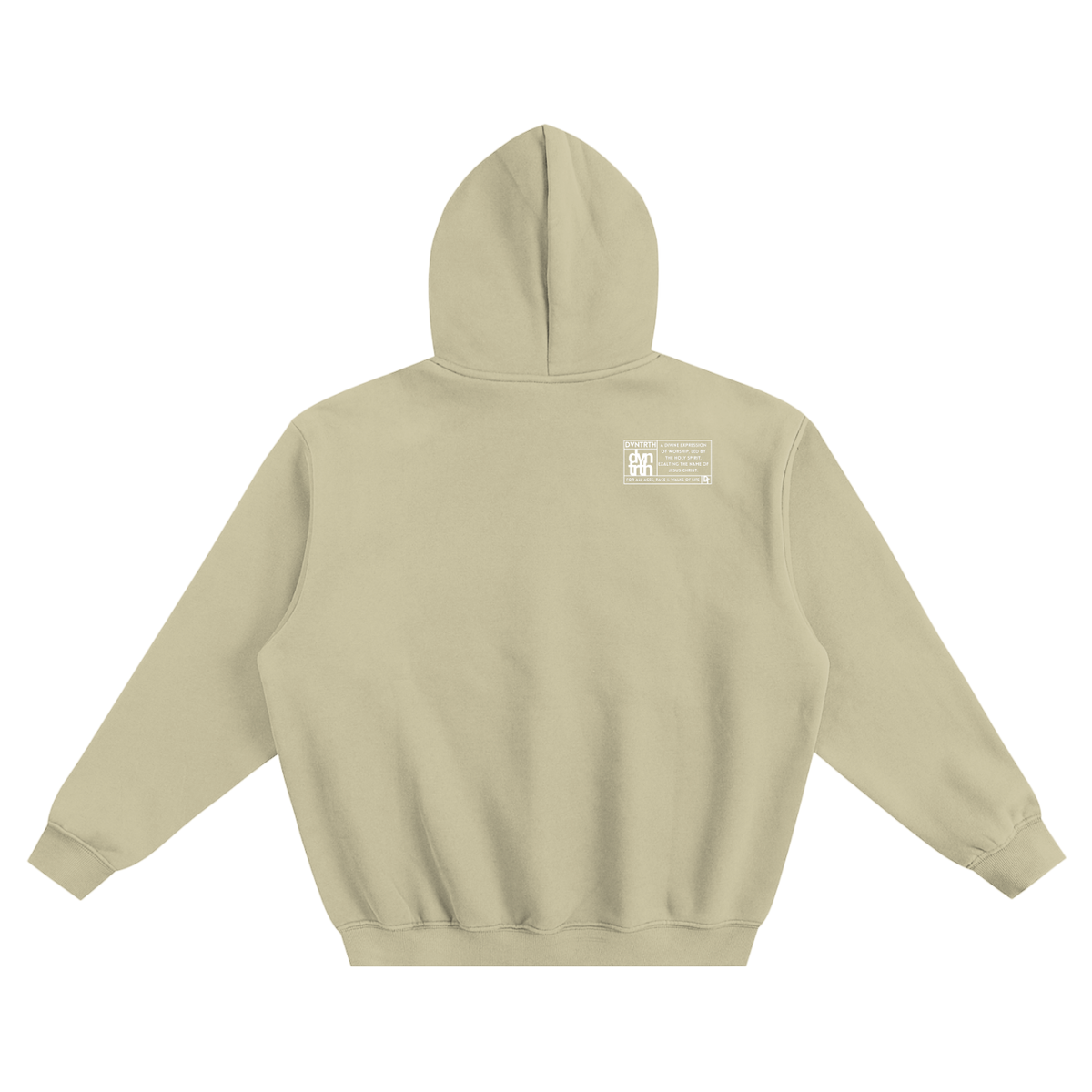JESUS SAVES Classic | Boxy Hoodie