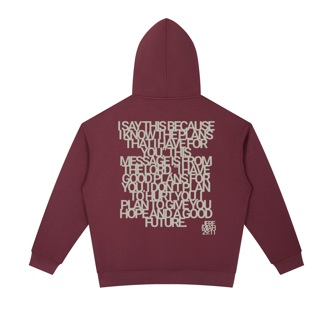 Jeremiah 29:11 | Essential Oversized Hoodie