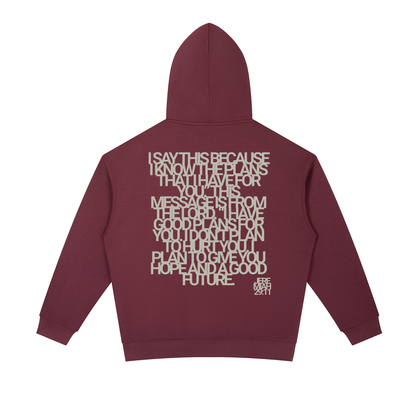 Jeremiah 29:11 | Essential Oversized Hoodie