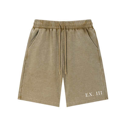 EX. III Snow Washed Shorts