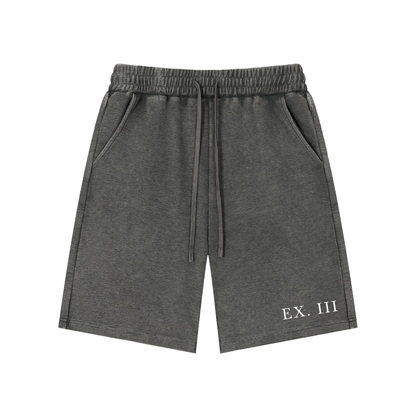 EX. III Snow Washed Shorts