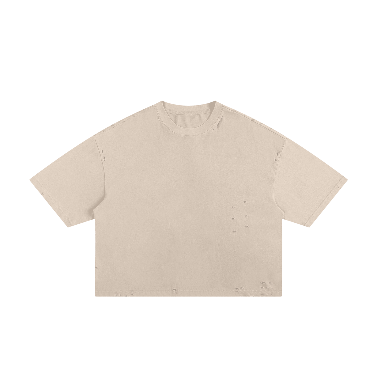 Classic Cut-Holes Frayed Boxy Tee