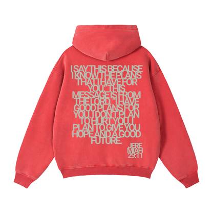 Jeremiah 29:11 | Vintage Zip Boxy Hoodie
