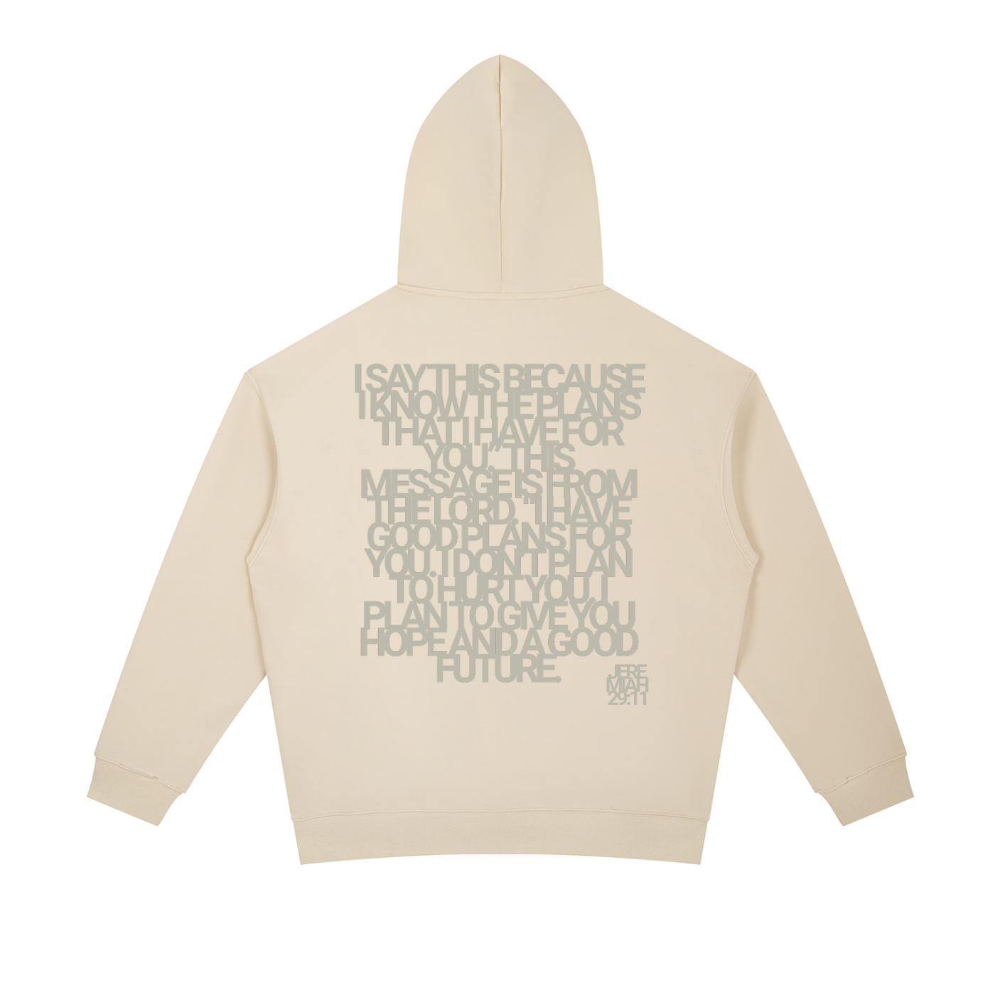 Jeremiah 29:11 | Essential Oversized Hoodie