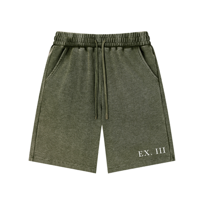 EX. III Snow Washed Shorts