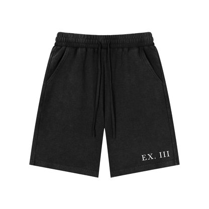 EX. III Snow Washed Shorts