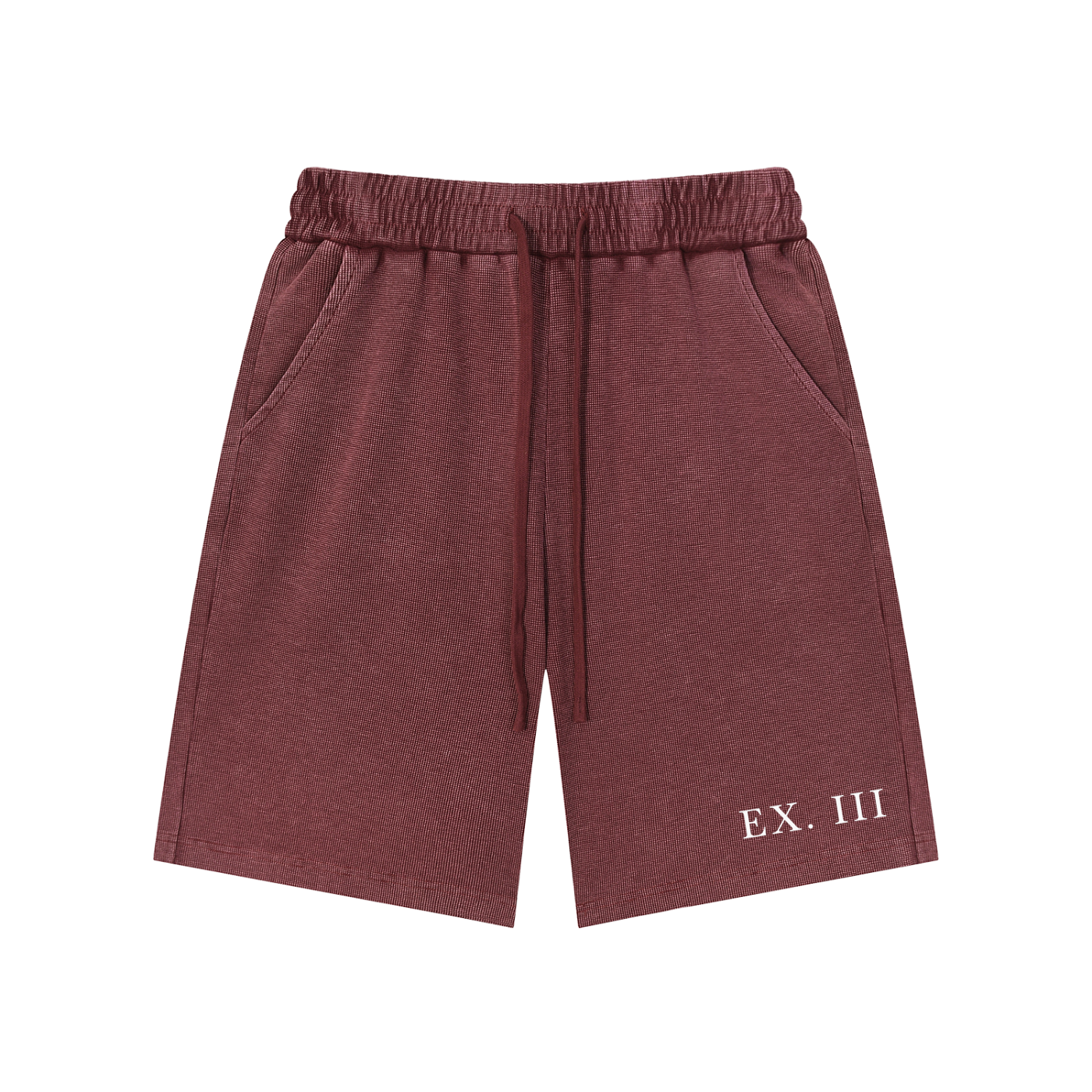 EX. III Snow Washed Shorts