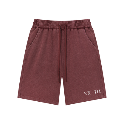 EX. III Snow Washed Shorts
