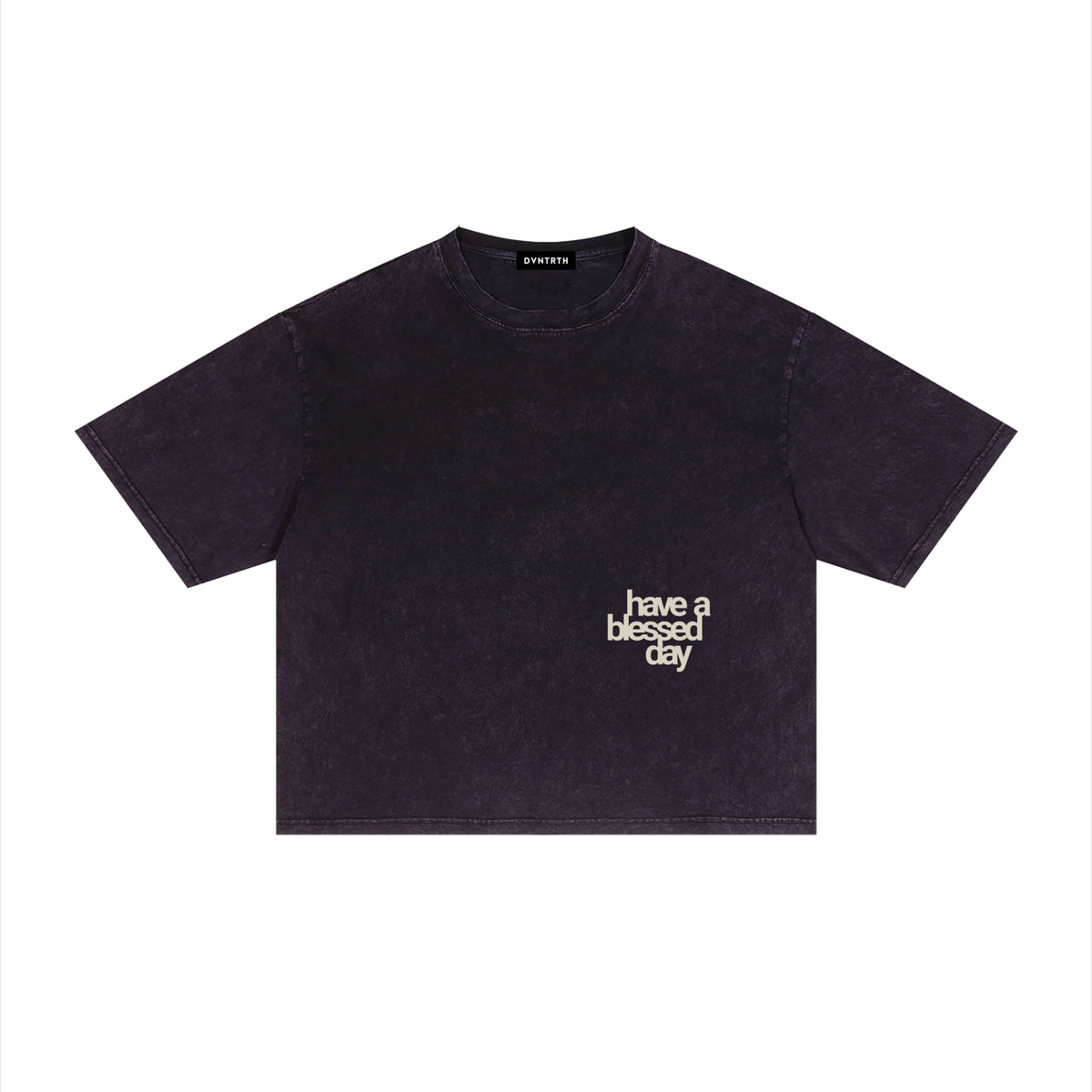 have a blessed day | Mineral Wash Boxy Tee