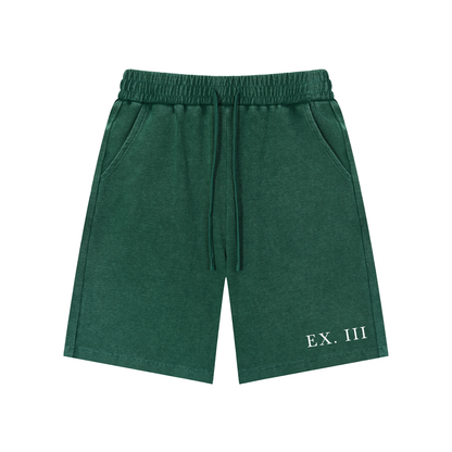 EX. III Snow Washed Shorts