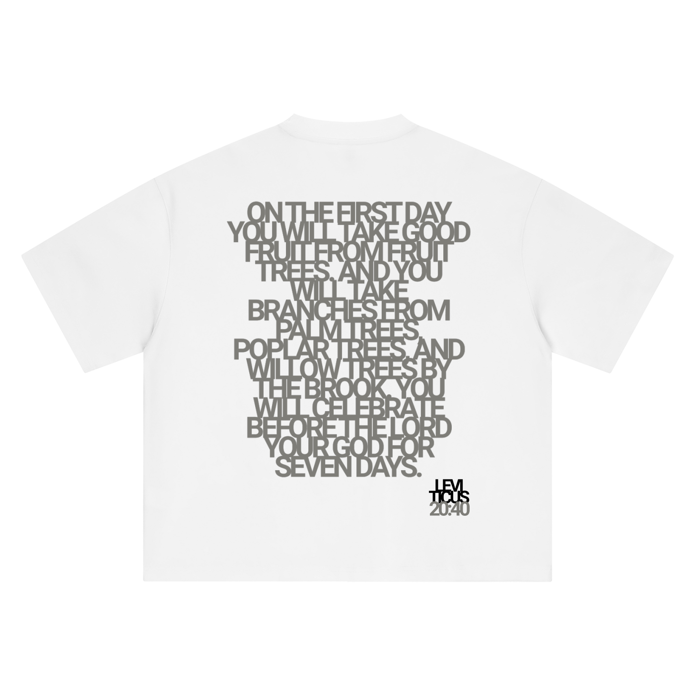 Boxy Oversized T-Shirt
