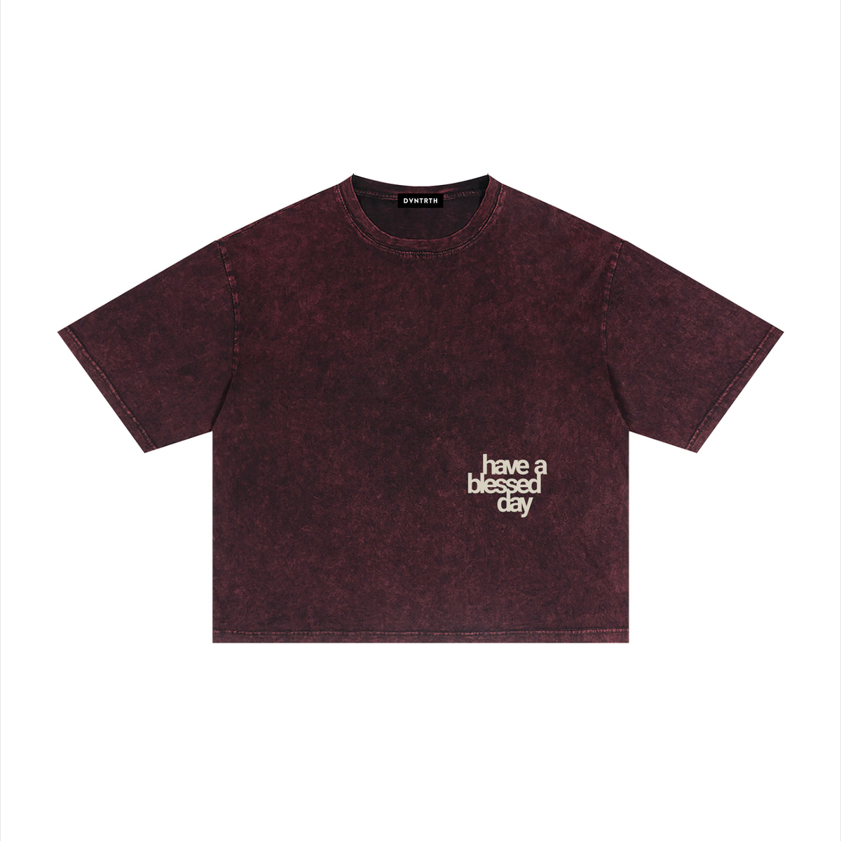 have a blessed day | Mineral Wash Boxy Tee