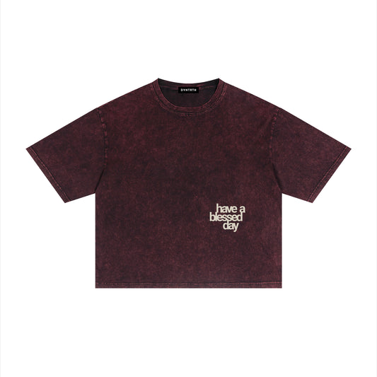 have a blessed day | Mineral Wash Boxy Tee
