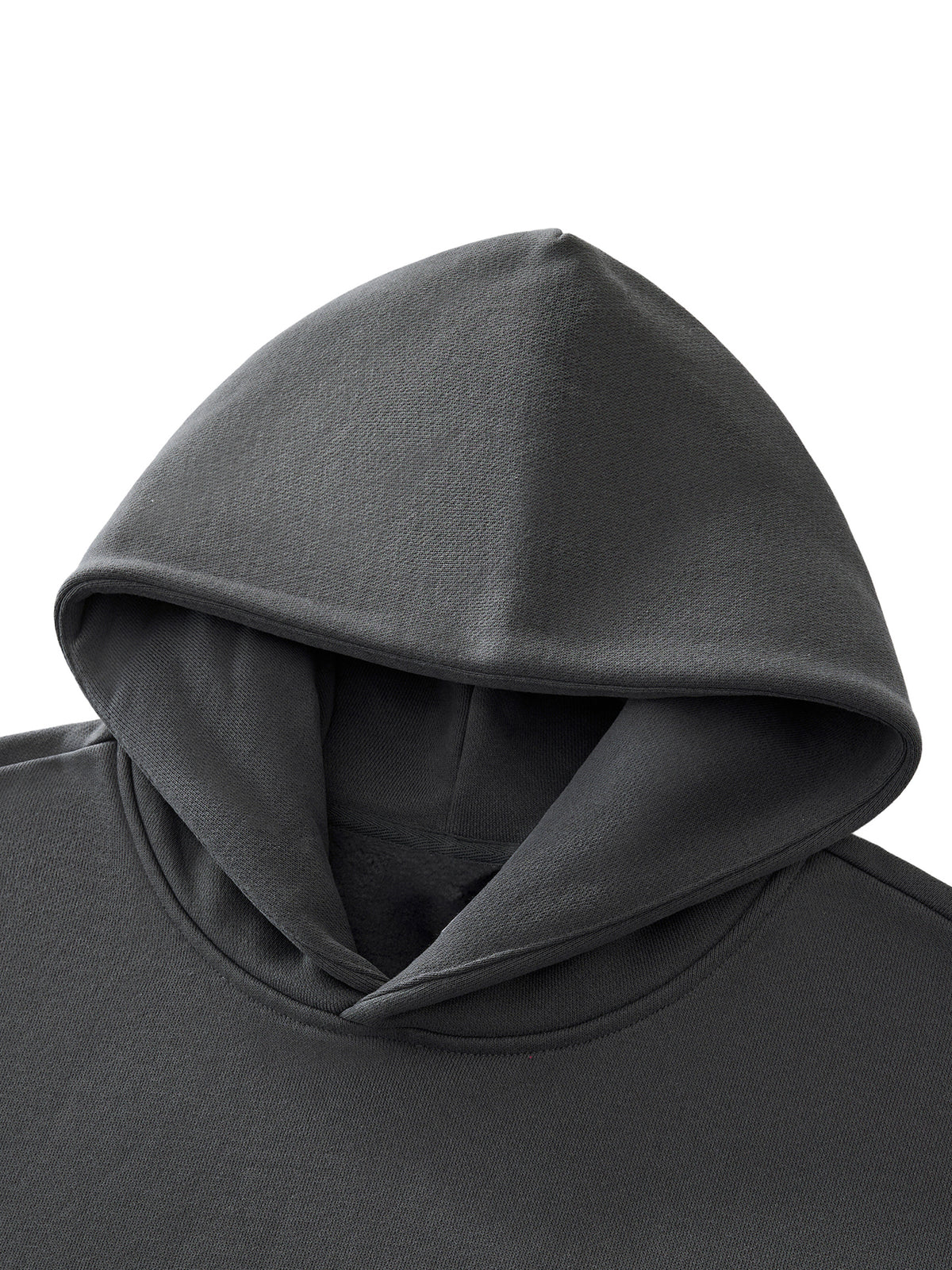 Leviticus 12:20 | Essential Hoodie