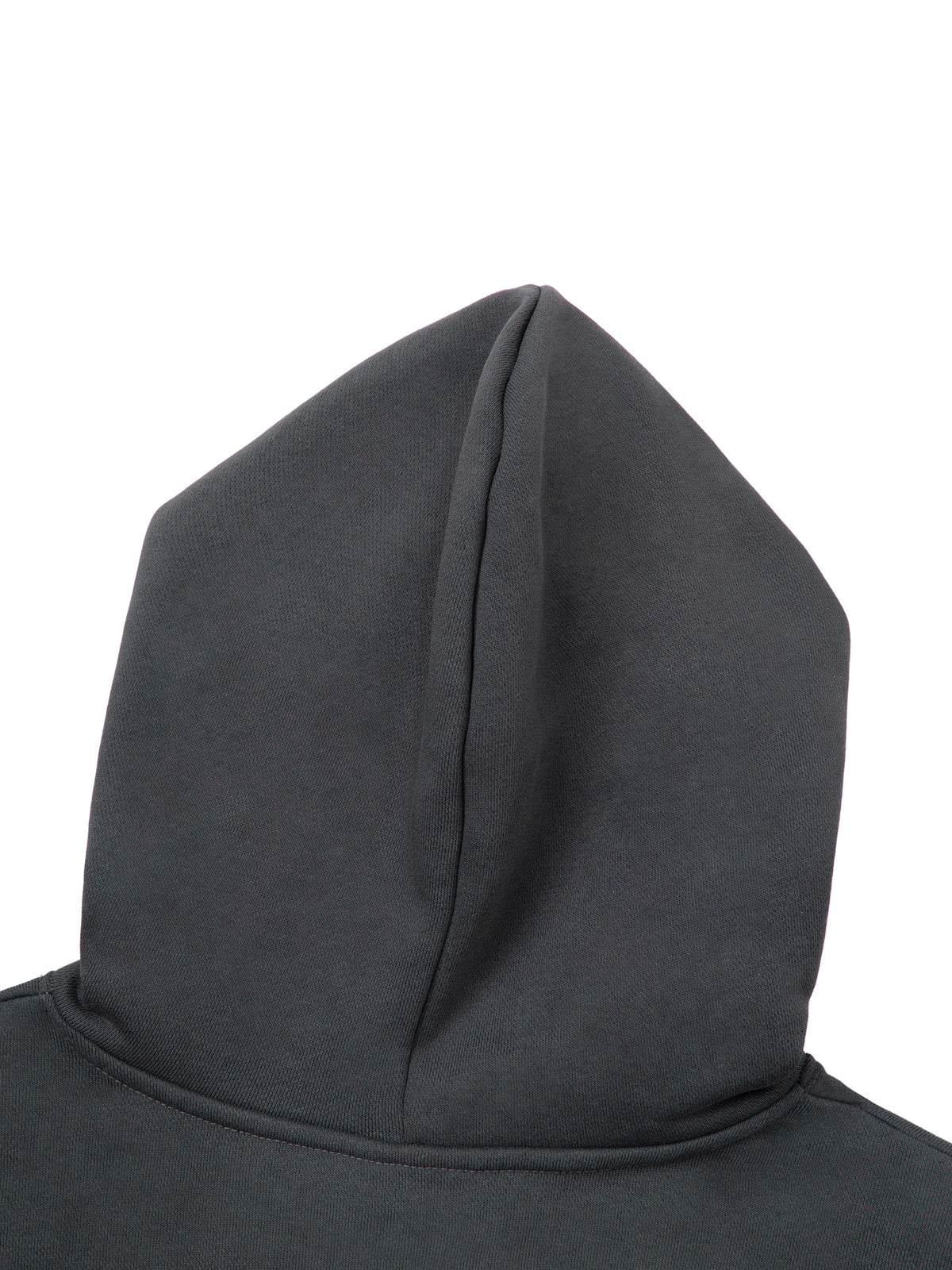 Leviticus 12:20 | Essential Hoodie